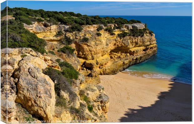 Traquil Beach from the Cliffs Canvas Print by Angelo DeVal