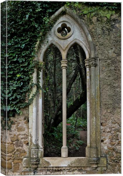 Neogothic Window in Quinta das Lagrimas Canvas Print by Angelo DeVal