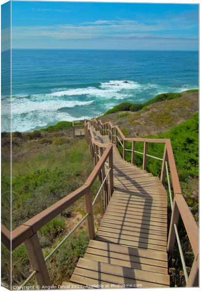 Walkway to Sea in Costa Vicentina Canvas Print by Angelo DeVal