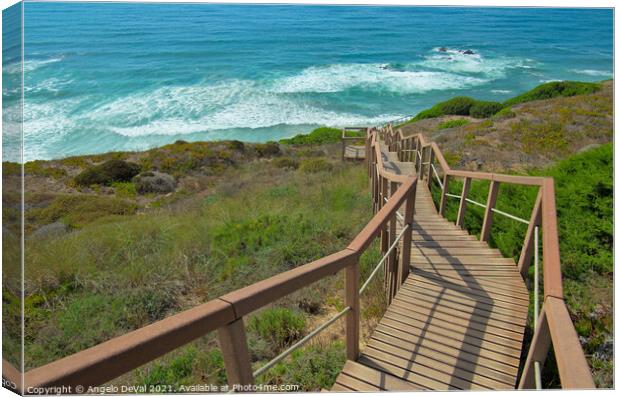 Walkway to the Sea in Costa Vicentina Canvas Print by Angelo DeVal