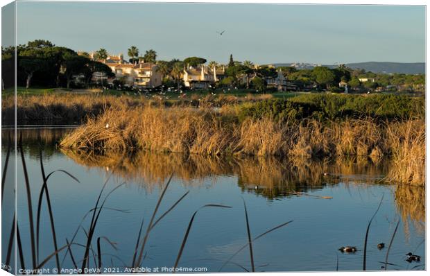 Birds by the Lake in Quinta do Lago Canvas Print by Angelo DeVal