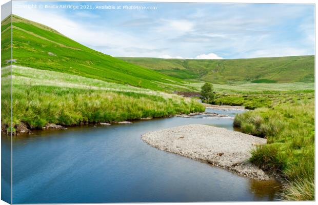 Elan Valley, Wales.  Canvas Print by Beata Aldridge