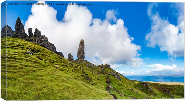 Old Man of Storr on Isle of Skye Canvas Print by Beata Aldridge