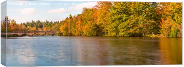 Autumn lake Canvas Print by Beata Aldridge