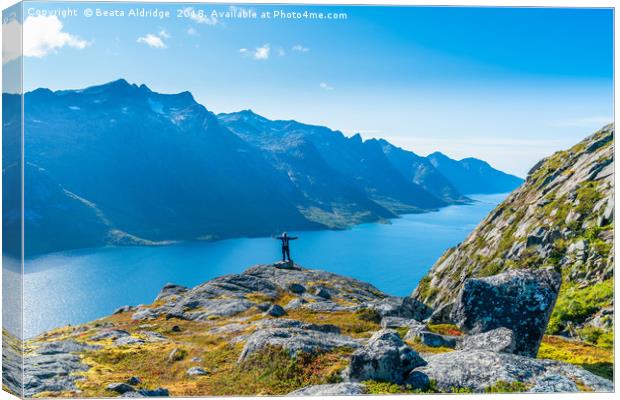 On top of the world Canvas Print by Beata Aldridge