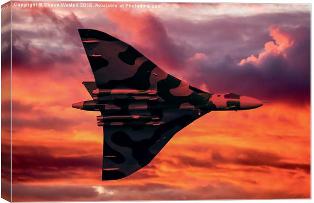  " INTO THE SUN " Canvas Print by Shaun Westell