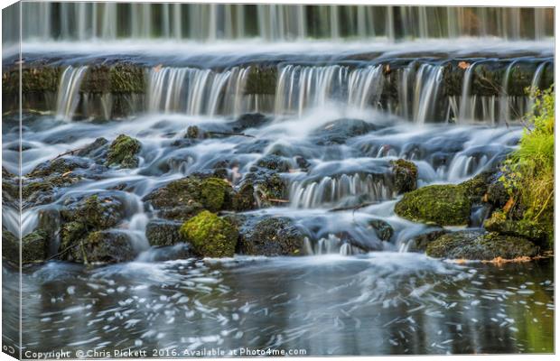 Water Falls at Leeds Castle Canvas Print by Chris Pickett