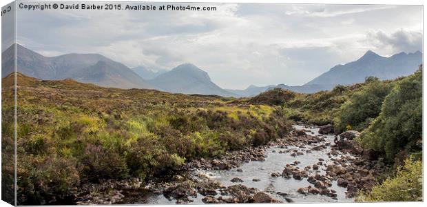  Skye Canvas Print by David Barber