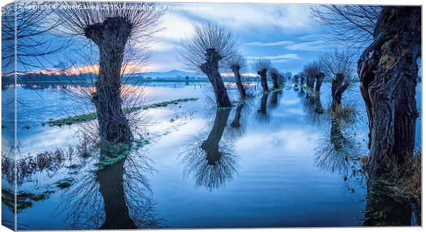 Flood Plain Canvas Print by John Ealing