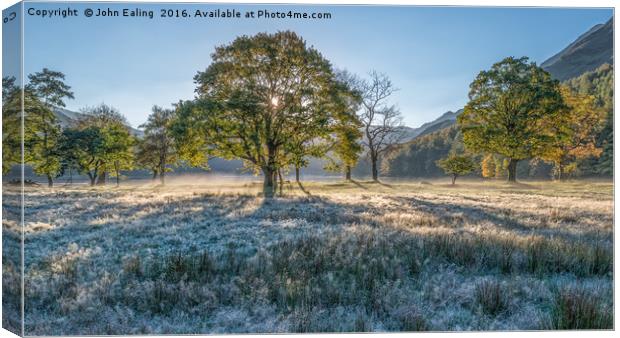 First Frost Canvas Print by John Ealing