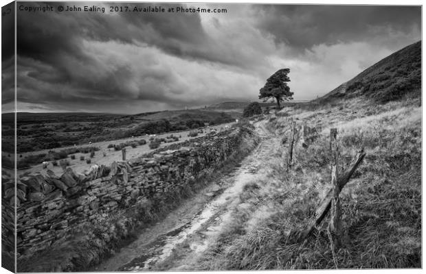 Approaching Storm Canvas Print by John Ealing