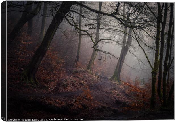 Mist in Redisher Woods Canvas Print by John Ealing