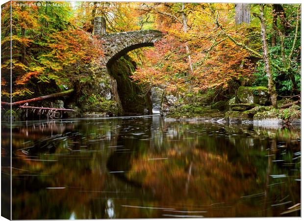 Hermitage Bridge, River Braan Canvas Print by Iain MacDiarmid