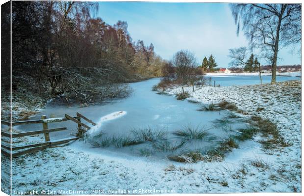 Frozen Avie Lochan Canvas Print by Iain MacDiarmid