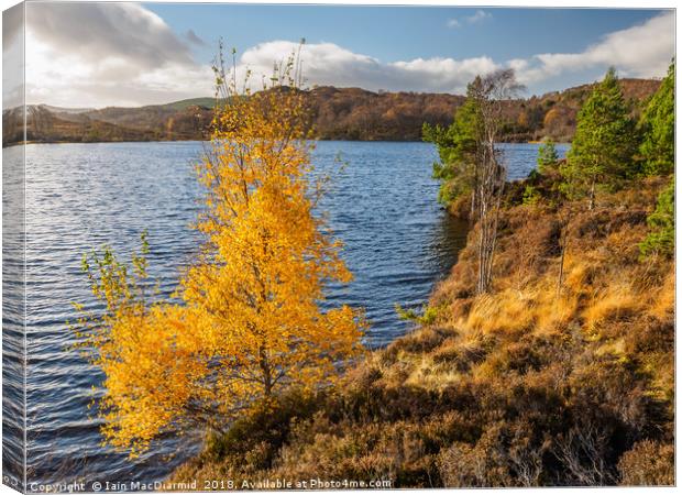 Loch Nam Bàt Canvas Print by Iain MacDiarmid