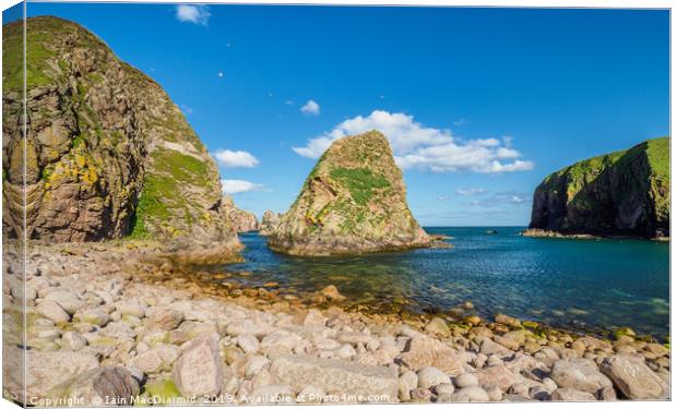 Bullars of Buchan Canvas Print by Iain MacDiarmid