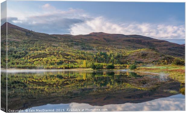 Loch Carrie Reflections Canvas Print by Iain MacDiarmid