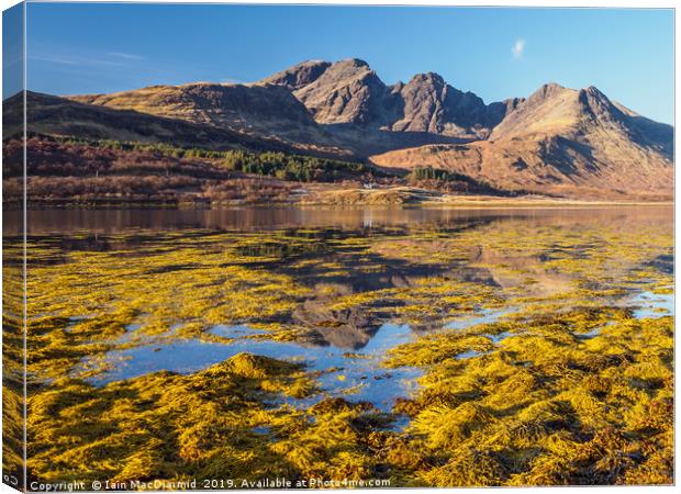 Loch Slapin and Blaven Canvas Print by Iain MacDiarmid