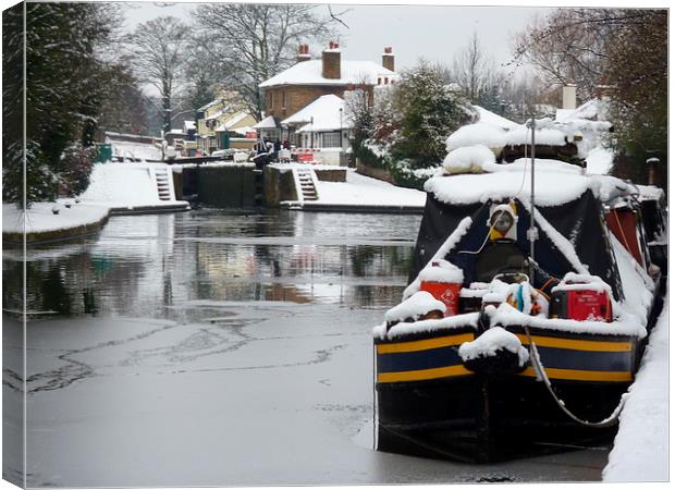  Canal Boats in Winter Canvas Print by Terry Hunt