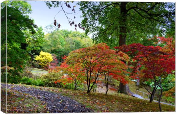 The changing colours of Hole Park gardens  Canvas Print by Terry Hunt