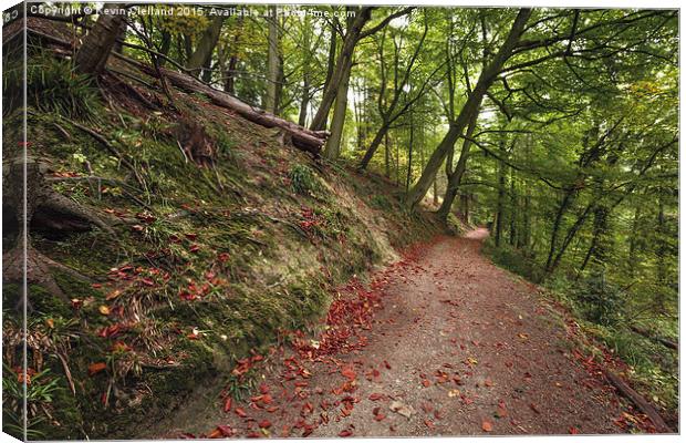  Pathway in the woods Canvas Print by Kevin Clelland