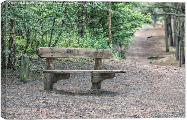 Park Bench Canvas Print by Kevin Clelland