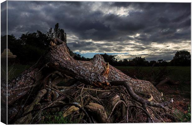 Dark days Canvas Print by Barry Robinson