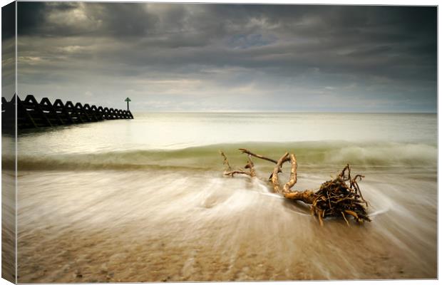 Walton on the Naze Special Branch Canvas Print by Rob Woolf