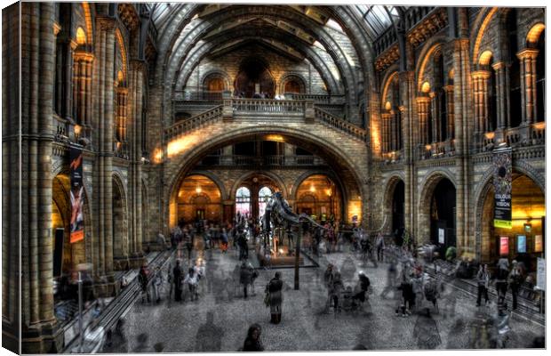 Natural history museum in strong HDR Canvas Print by HQ Photo
