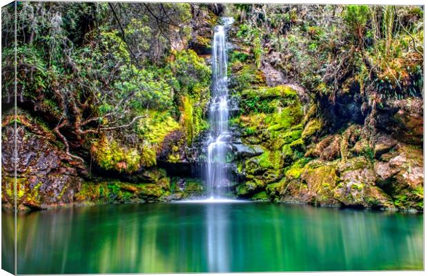 High Waterfall in colombia Canvas Print by HQ Photo