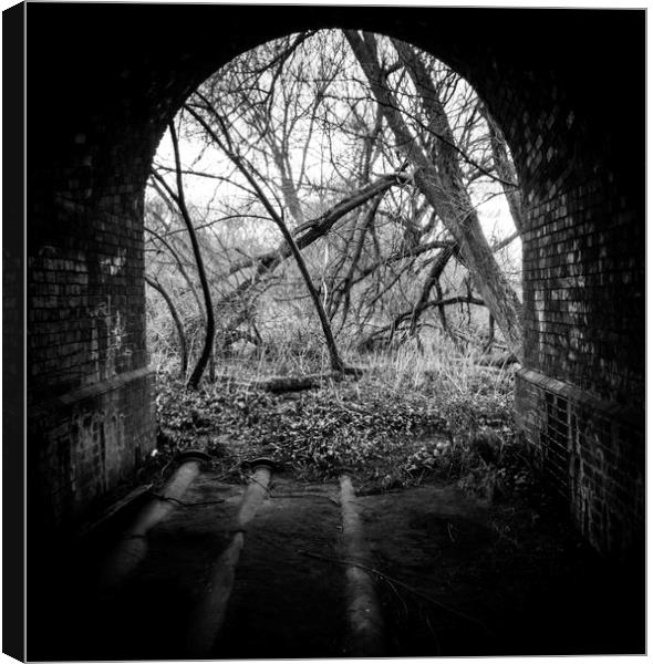 Spooky woodland tunnel  Canvas Print by paul middleton