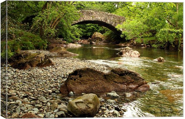  River Esk Beauty Canvas Print by David Chennell