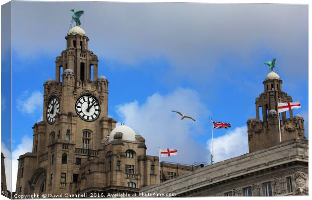 Royal Liver Building  Canvas Print by David Chennell
