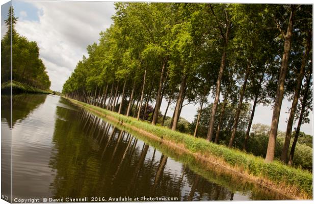 Bruges To Damme Canal Canvas Print by David Chennell