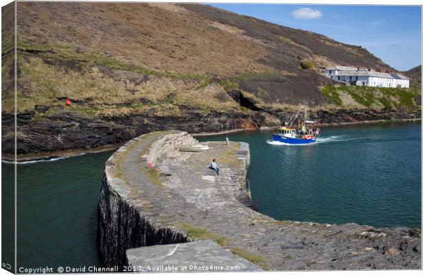 Boscastle Breakwater   Canvas Print by David Chennell