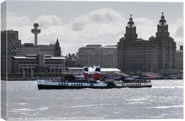 Waverley Paddle Steamer  Canvas Print by David Chennell