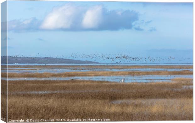 Parkgate Marshes High Tide Canvas Print by David Chennell