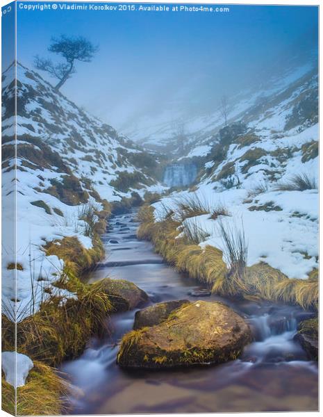 Winter's tale Canvas Print by Vladimir Korolkov