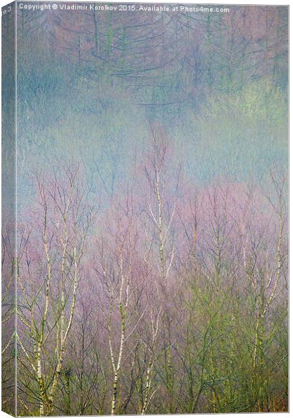  Magic Birch Forest  Canvas Print by Vladimir Korolkov