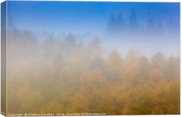 Misty morning near Bamford Canvas Print by Vladimir Korolkov
