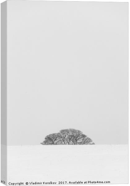 Simplicity of winter landscapes Canvas Print by Vladimir Korolkov
