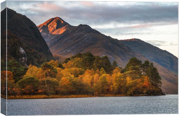 Sgùrr Ghiubhsachain and Loch Shiel, Glenfinnan Canvas Print by Miles Gray