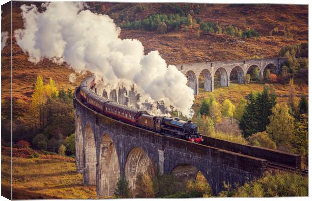 The Jacobite crossing the Glenfinnan Viaduct Canvas Print by Miles Gray