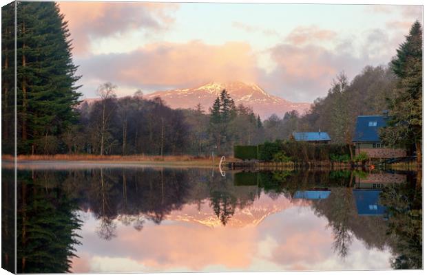 Ben Lomond Reflections Canvas Print by Miles Gray