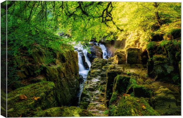 Sunshine over the Black Linn waterfall Canvas Print by Miles Gray