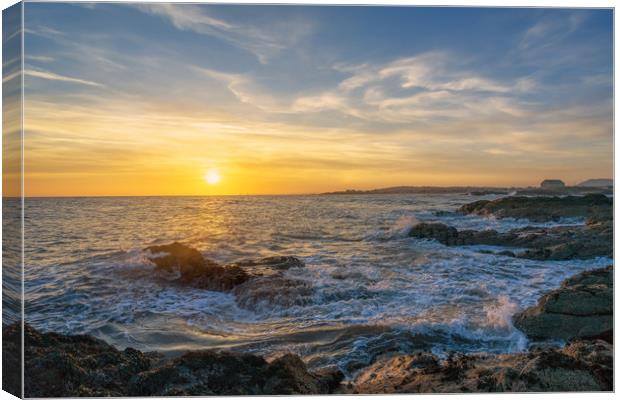 Golden hour from Elie Beach Canvas Print by Miles Gray