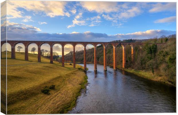 Golden Hour over the Leaderfoot Viaduct Canvas Print by Miles Gray
