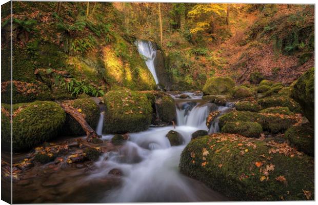 Autumn in Alva Glen Canvas Print by Miles Gray