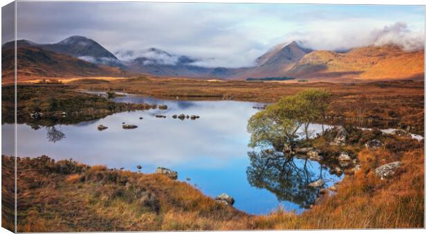 Autumn morning on Rannoch Moor  Canvas Print by Miles Gray