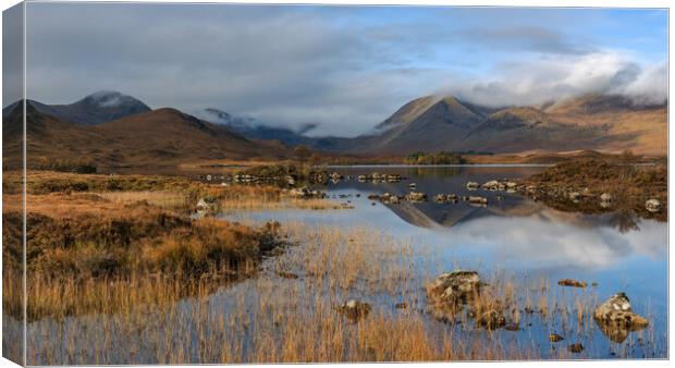 Rannoch Moor in the Morning light Canvas Print by Miles Gray